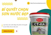 Bí quyết chọn sơn nước đẹp, tiết kiệm chi phí tại Đồng Nai